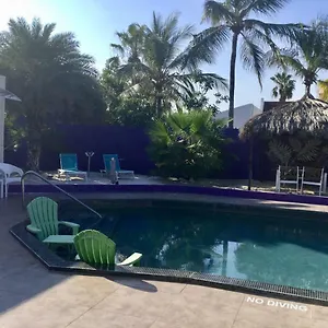 Gasthuis Sandcastle Palm Beach